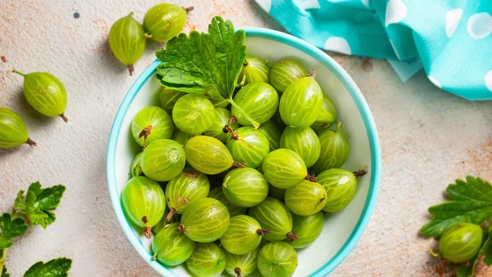 health benefit of amla water daily emblica myrobalan benefit tips to use indian gooseberry2