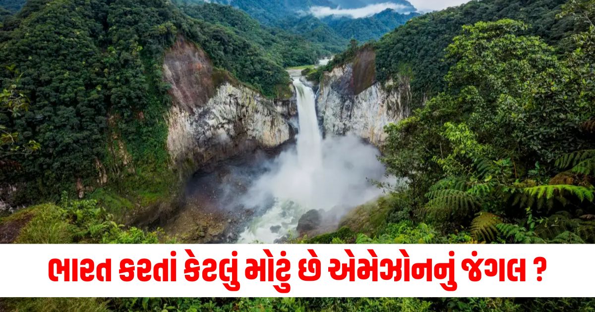 how much bigger is the amazon forest than india you will be surprised to know