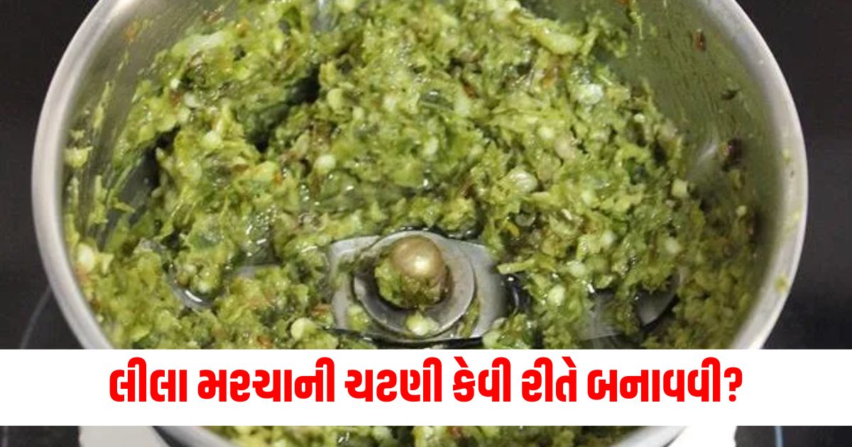 how to make green chilli garlic chutney recipe easily store for months long wer