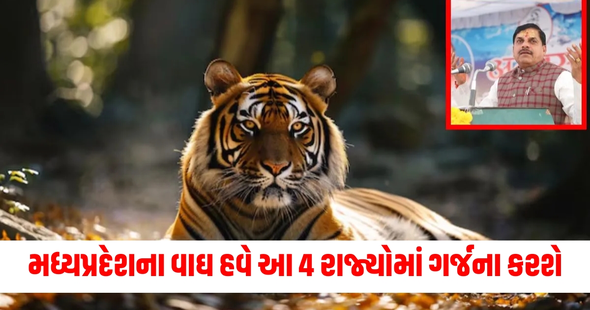 madhya pradesh tigers will now roar in these 4 states mohan yadav government has given approval