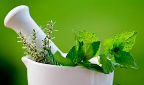 medicinal plants to stop hair fall and promote hair growth know how to use it ssefwes