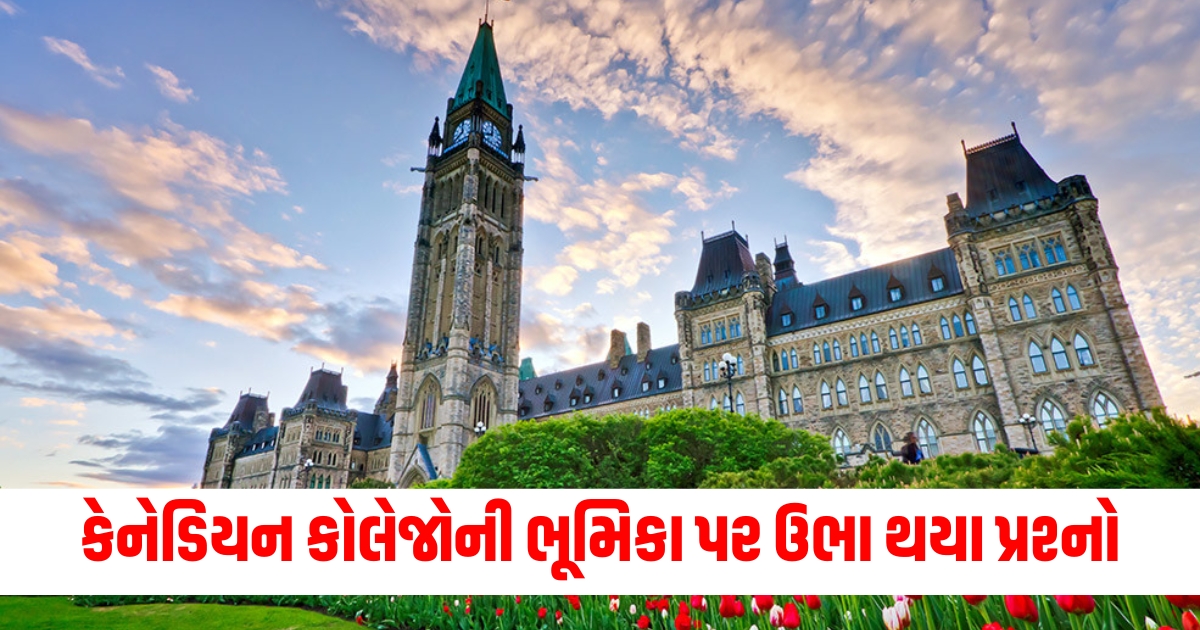 national ed probing role of canadian colleges in sending illegal immigrants to america