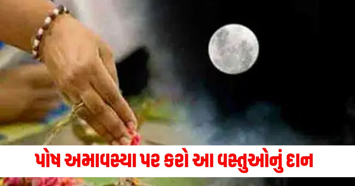paush amavasya 2024 daan these things to increase food and wealthrwert