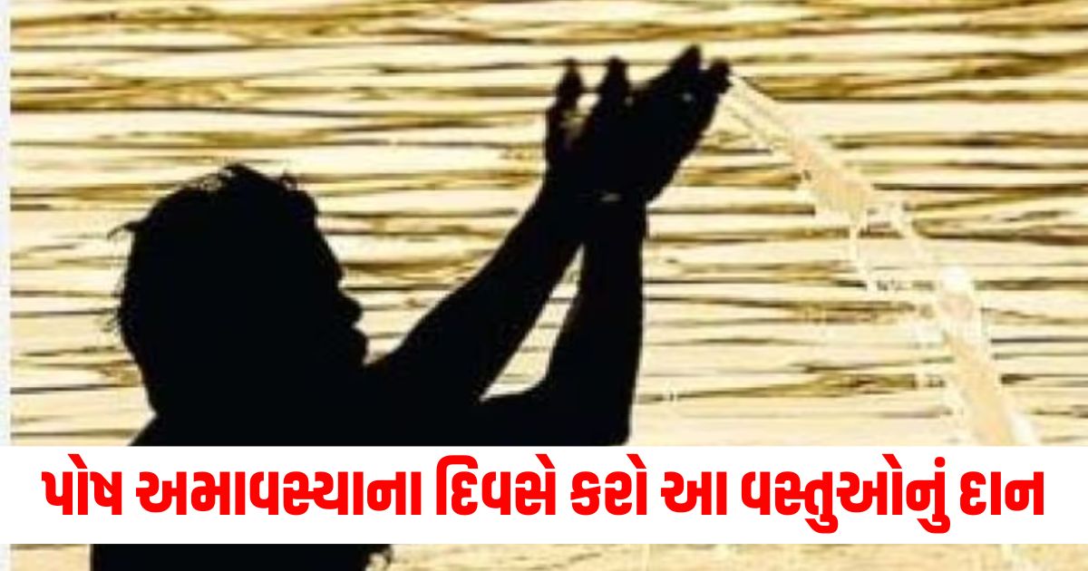 paush amavasya 2024 things to donate on paush amavasya to get wealth and prosperitywer