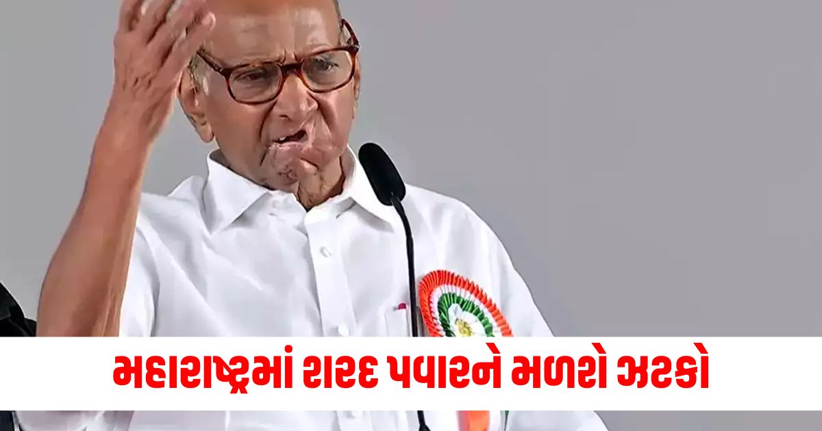 sharad pawar party mp in touch with bjp in maharashtraaqedqwe