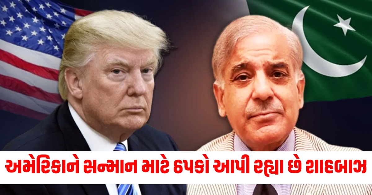 us pak tension starts trump adviser advice free imran khan shehbaz government reply