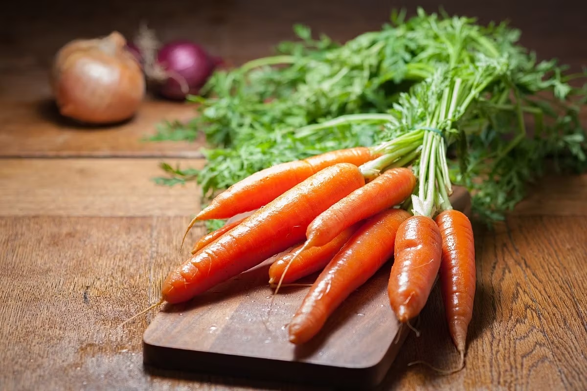 winter carrot recipes know trick to cook delicious carrot recipes for winter that will be loved by kids1