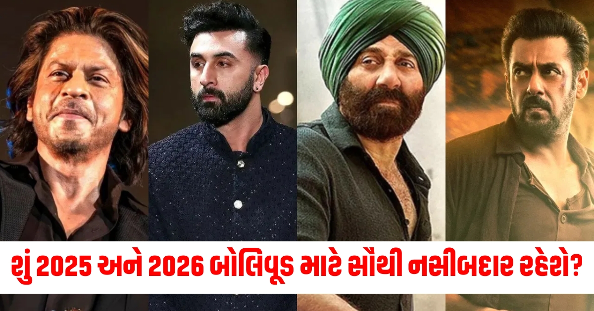 box office salman khan sikander to ranbir kapoor ramayana and sunny deol border 2 movies mostly chance work at box office in 2025 and 20261