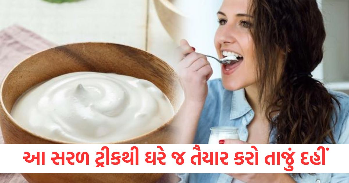 how to set curd in winters sardiyon me aise jamayen dahiwrw