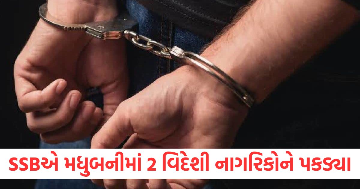 madhubani sashastra seema bal stopped two foreign nationals going to nepal