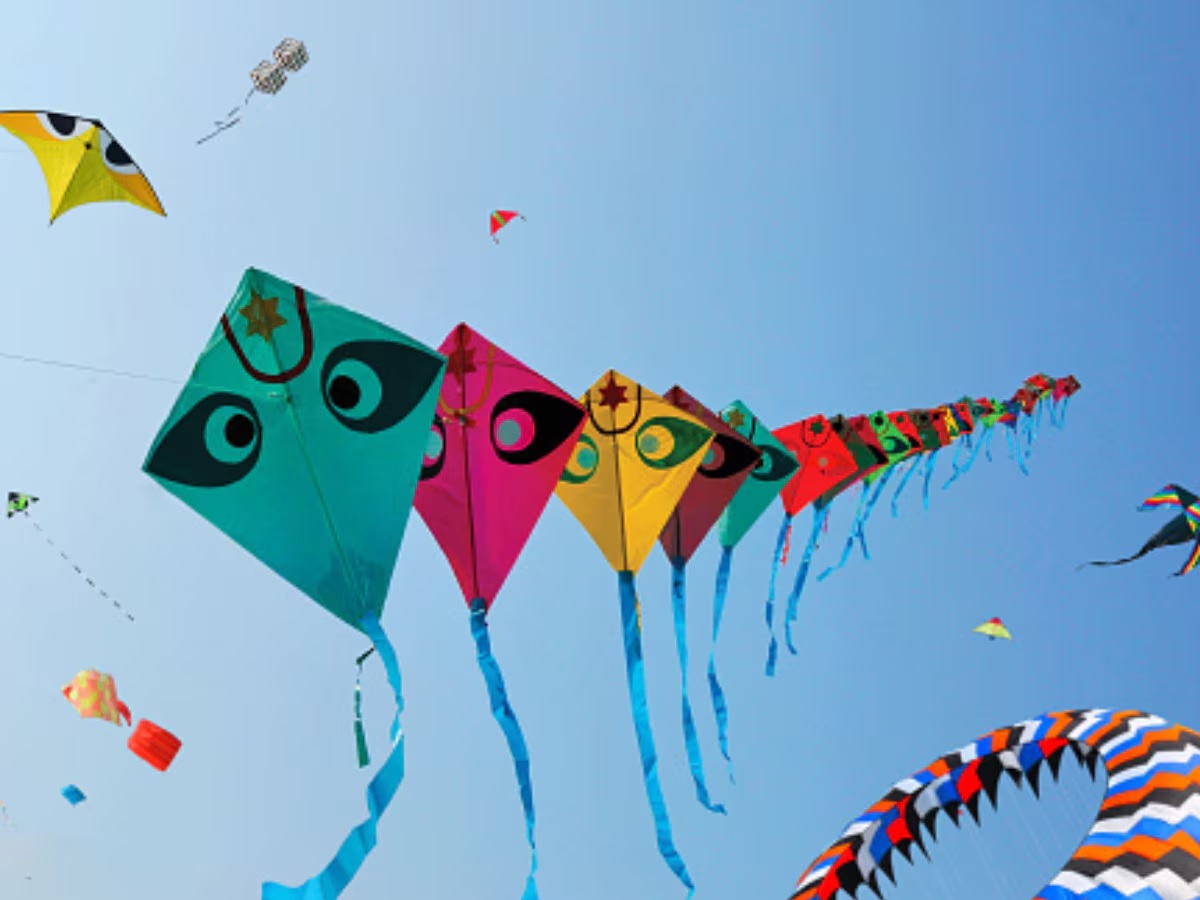 makar sankranti 2024 what work should not be done on the day of makar sankranti2