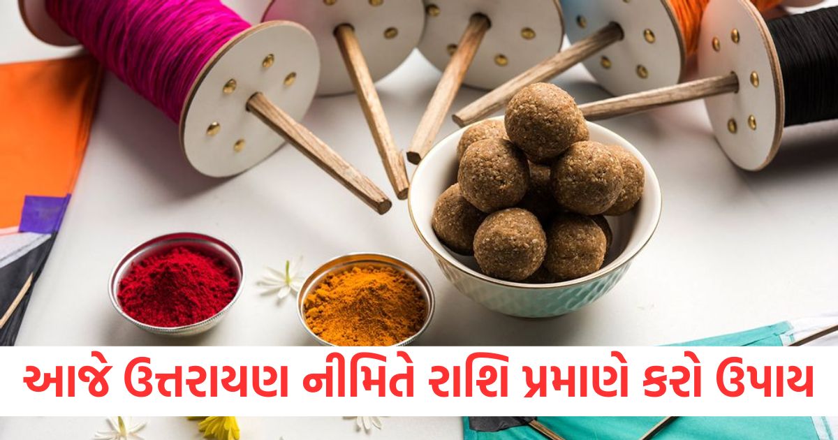 makar sankranti 2025 upay according to zodiac signs rashi ke anusar kare upay