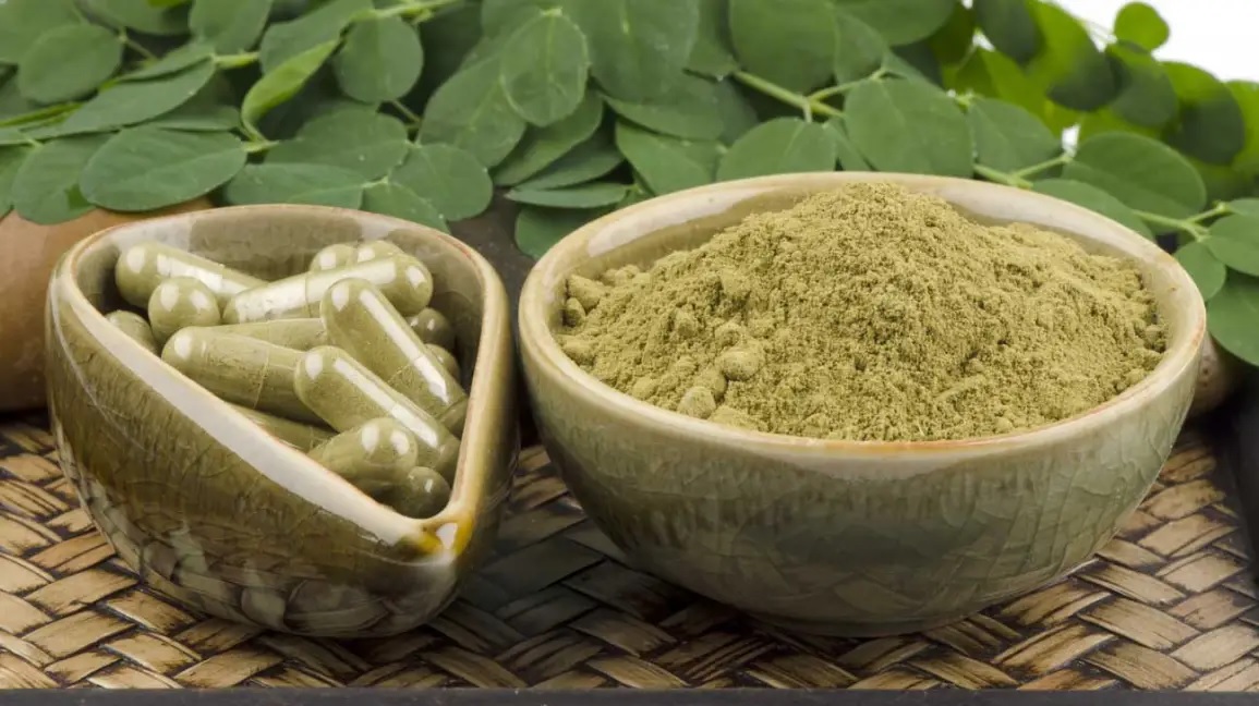 moringa is a treasure of nutrition from leaves to seeds you will get 8 benefits by eating it daily