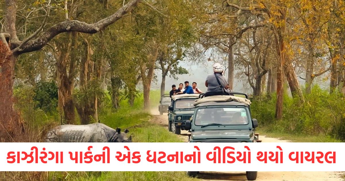 one mistake by the driver and mother and daughter fell down from the jeep video of kaziranga national park went viral