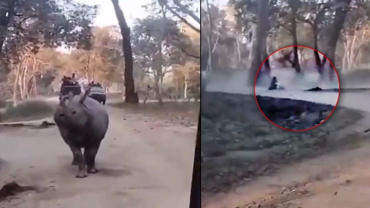 one mistake by the driver and mother and daughter fell down from the jeep video of kaziranga national park went viral1