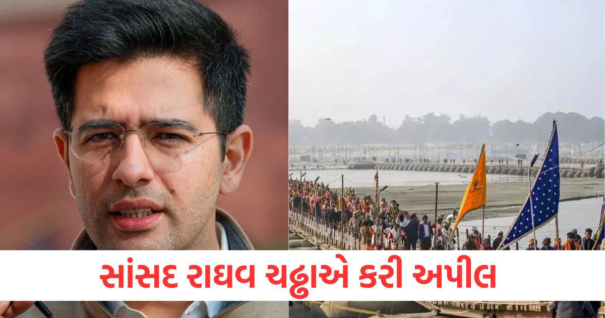 raghav chadha appeals flight fare for mahakumbh 2025 should be reduced