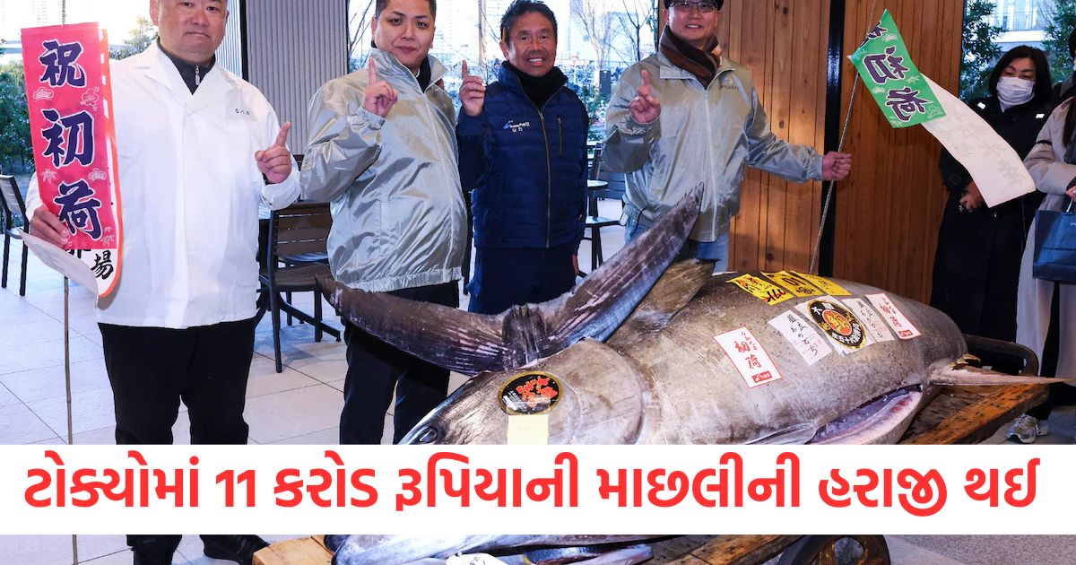 sized 276 kilo tuna fish sold for rs 11 crore in tokyo japan auction photoer