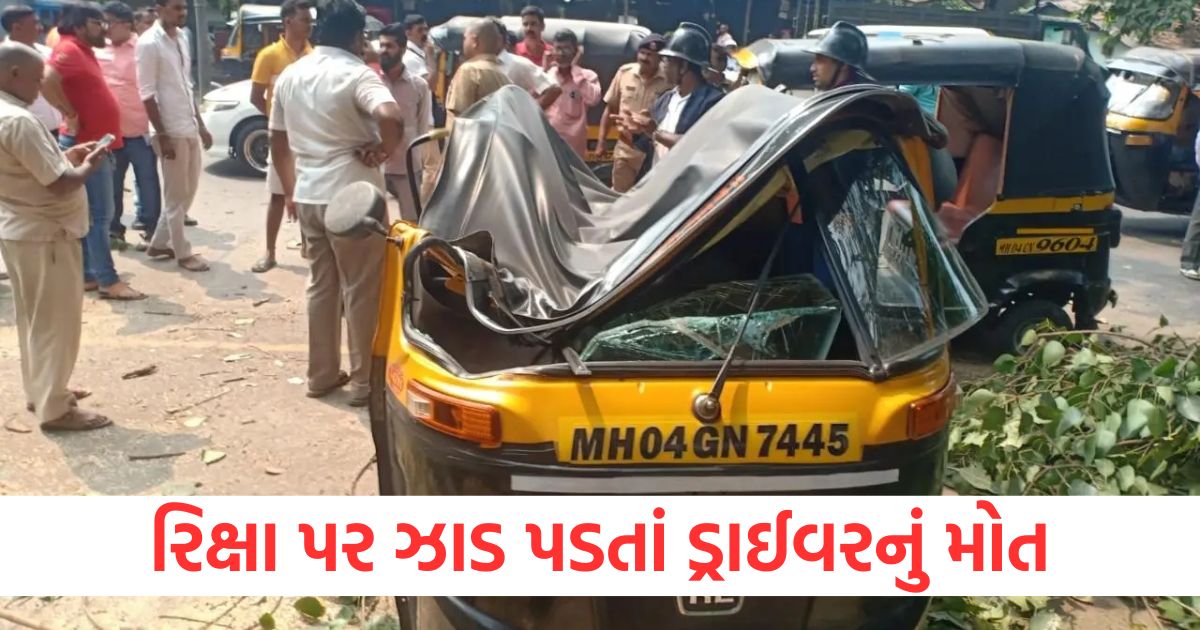 thane accident driver dies after tree falls on rickshaw in dombivli maharashtra news