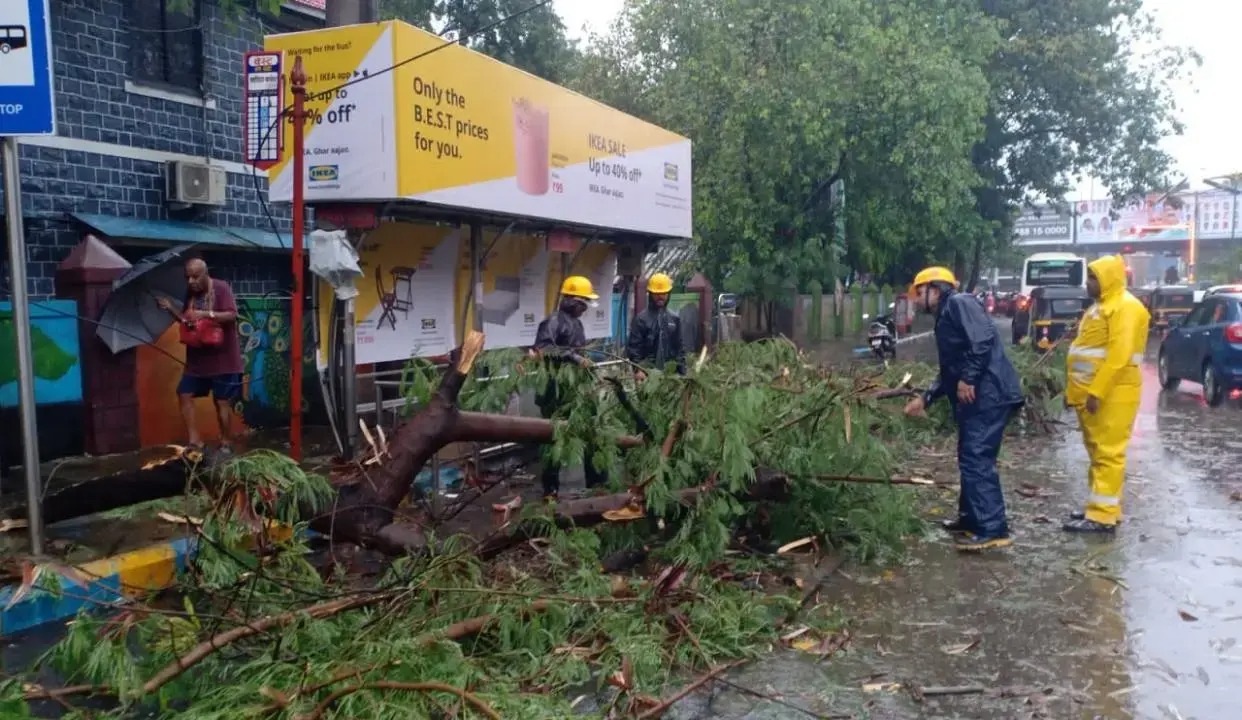thane accident driver dies after tree falls on rickshaw in dombivli maharashtra news1