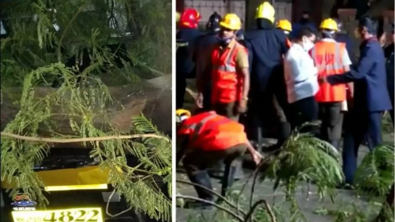 thane accident driver dies after tree falls on rickshaw in dombivli maharashtra news2