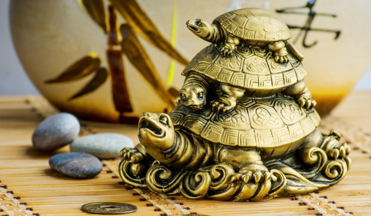 vastu shastra vastu tips for tortoise rules for keeping a tortoise statue in the house