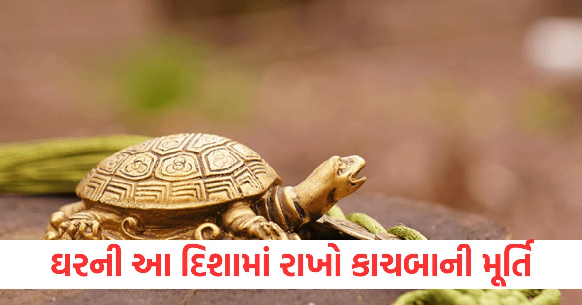 vastu shastra vastu tips for tortoise rules for keeping a tortoise statue in the house2