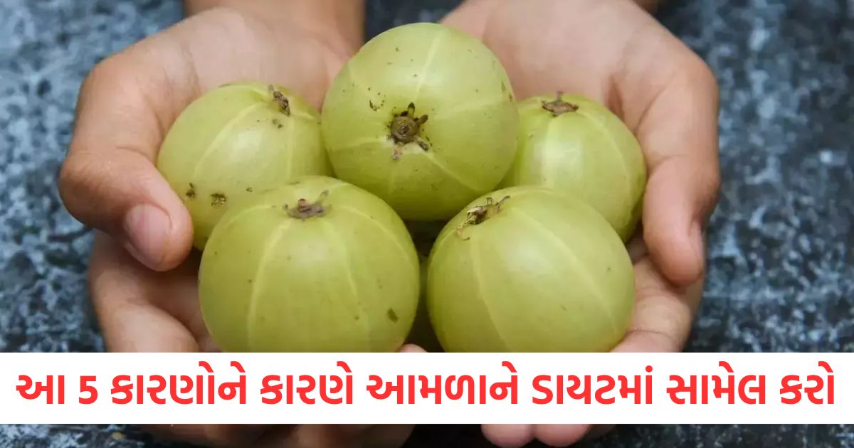 આ 5 કારણોને કારણે આમળાને ડાયટમાં સામેલ કરો ewr