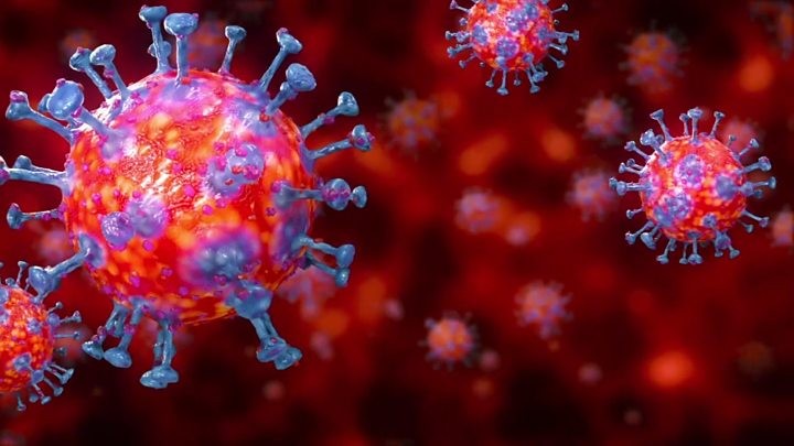 bat coronavirus hku5 found in china similar to covid19 doctors worried1