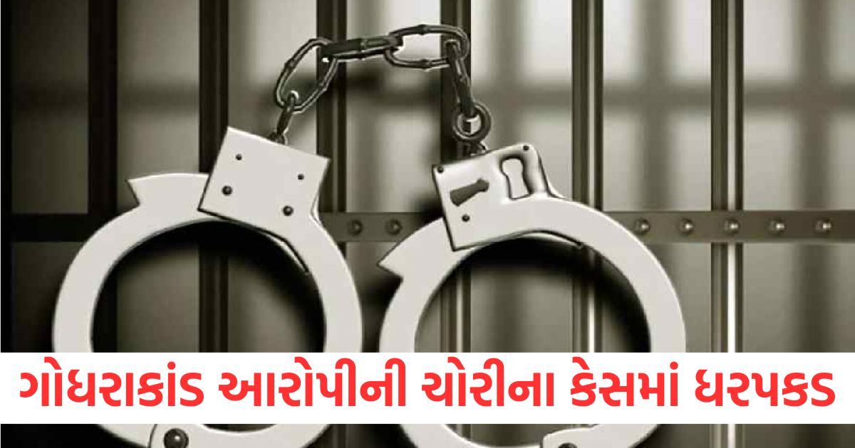 godhra train massacre case absconding convict salim zarda arrested from pune maharashtra in theft case