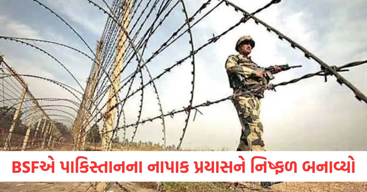indo pak border bsf killed pakistani intruders in pathankot border punjab