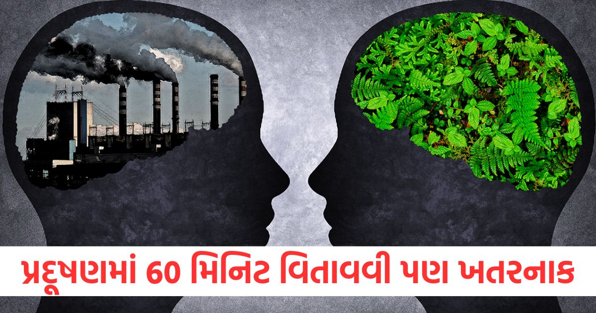 mental health pollution can affect brain functioning new study