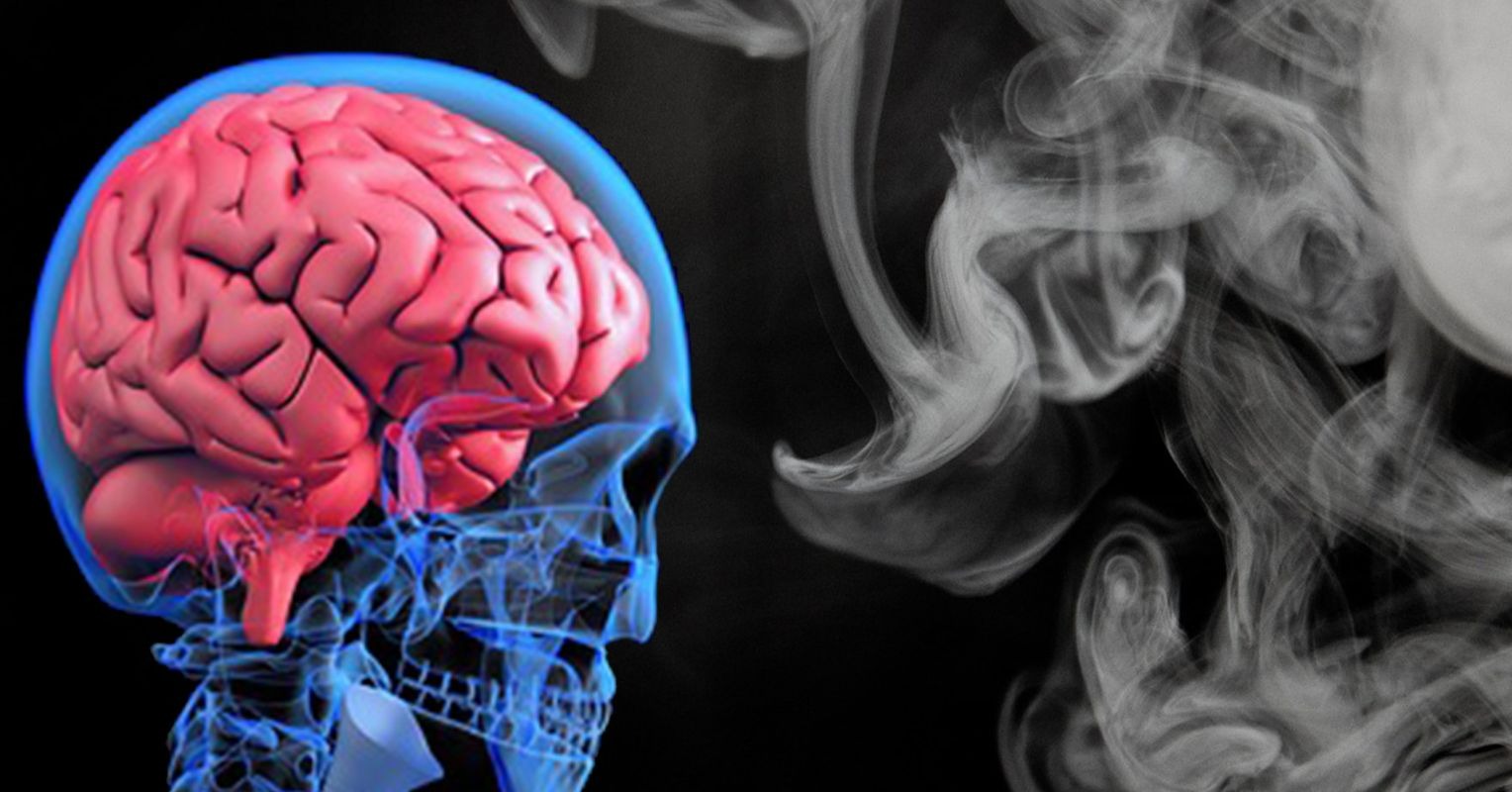 mental health pollution can affect brain functioning new study2