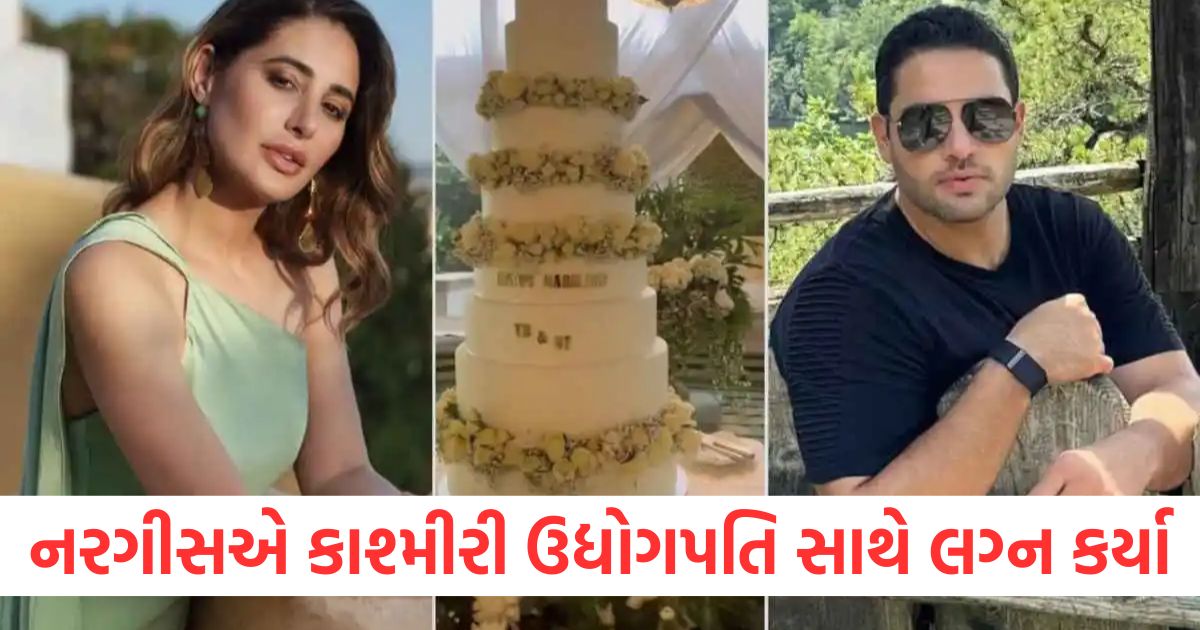 nargis fakhri married secretly kashmiri businessman tony beig know who is he and what he do