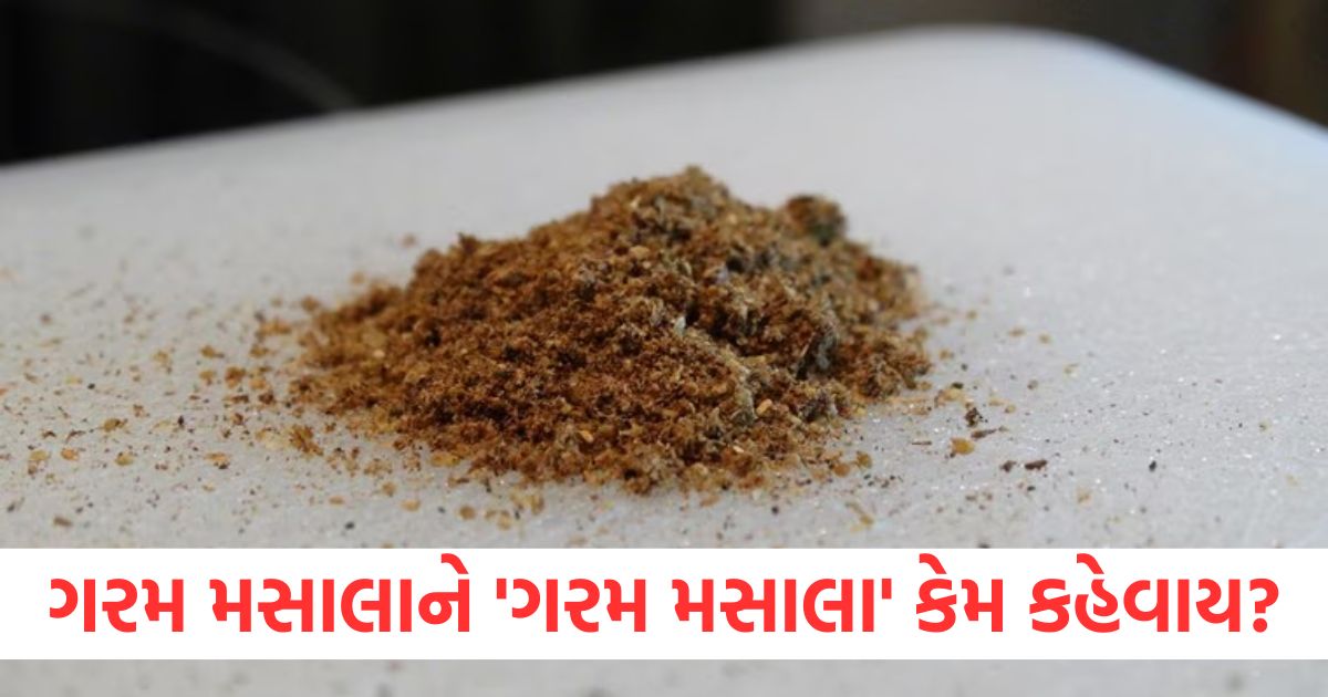 recipe garam masala why it is called garam chef ranveer brar revealed the real reason know how to make it at home