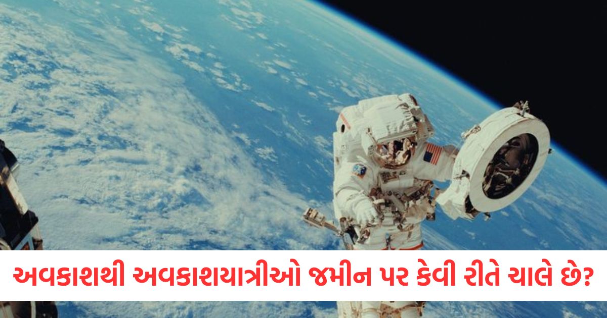 sunita williams and butch wilmore will return to earth after 8 months know how astronauts walk on the ground2