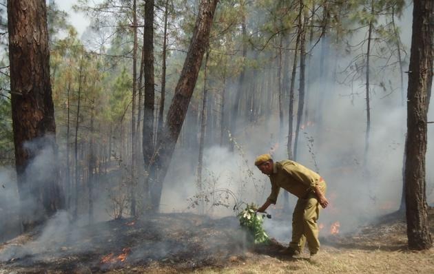uttarakhand ban on leaves of forest workers to control forest fire cm gives strict instructions2