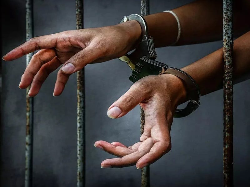 vadodara police crime branch arrested a doctor who is mastermind of car theft gang arrested know all2