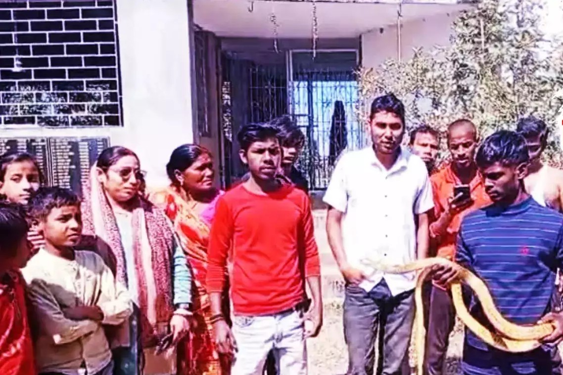 villagers busy feeding milk to the snake found in banka temple1 1