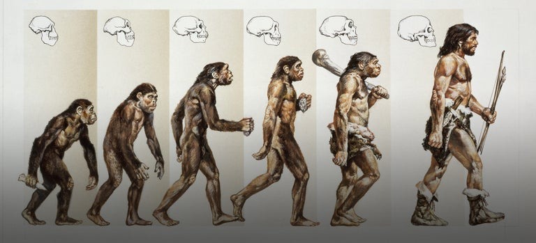 who was the first human being on earth homo habilis homo sapiens or someone else1