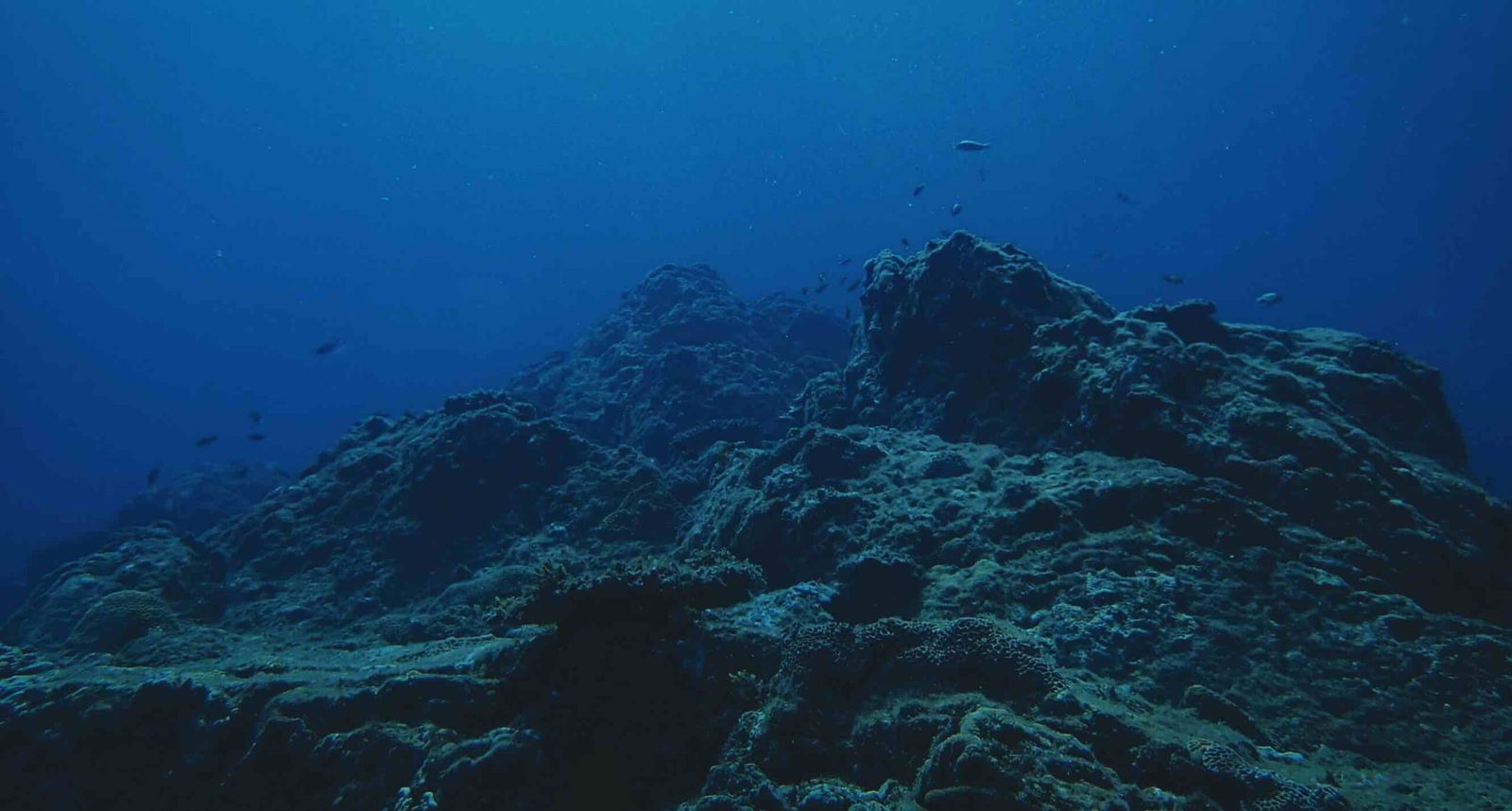 world most unexpected event in the pacific ocean scientists surprised when clue was found1