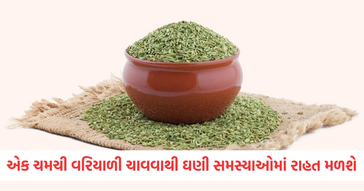 એક ચમચી વરિયાળી ચાવવાથી ઘણી સમસ્યાઓમાં રાહત મળશેewrwe