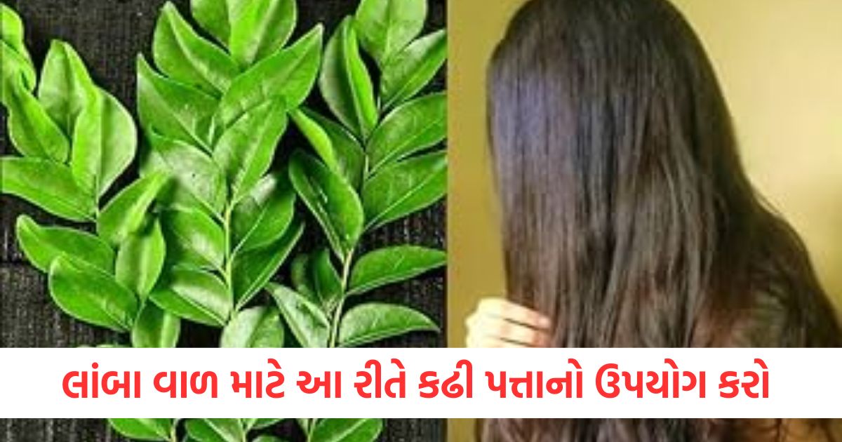 લાંબા વાળ માટે આ રીતે કઢી પત્તાનો ઉપયોગ કરો