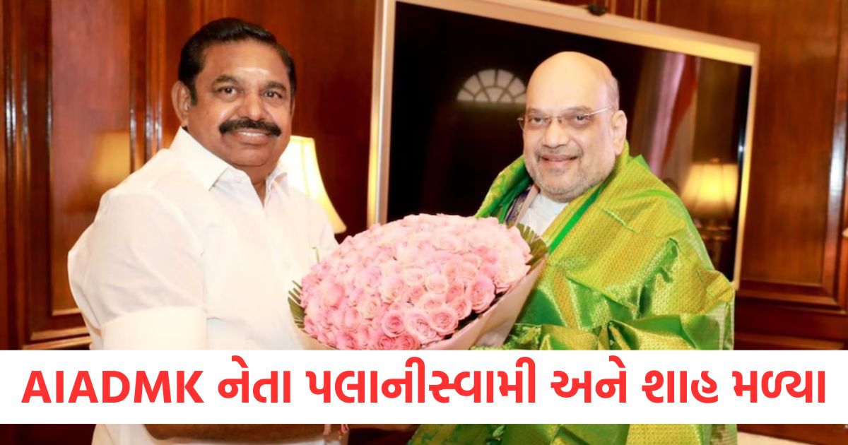 aiadmk leader amit shah meet patch up with bjp ahead of 2026 tamil nadu polls