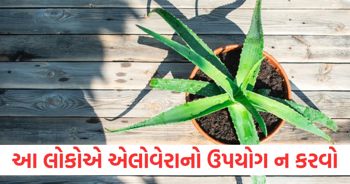 aloe vera side effect aloe vera is very harmful for these people