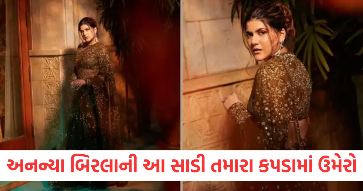 ananya birla saree look you can also try it1