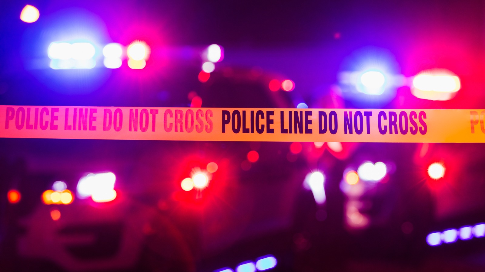 bodies of four members of family found lying in house police suspect suicide