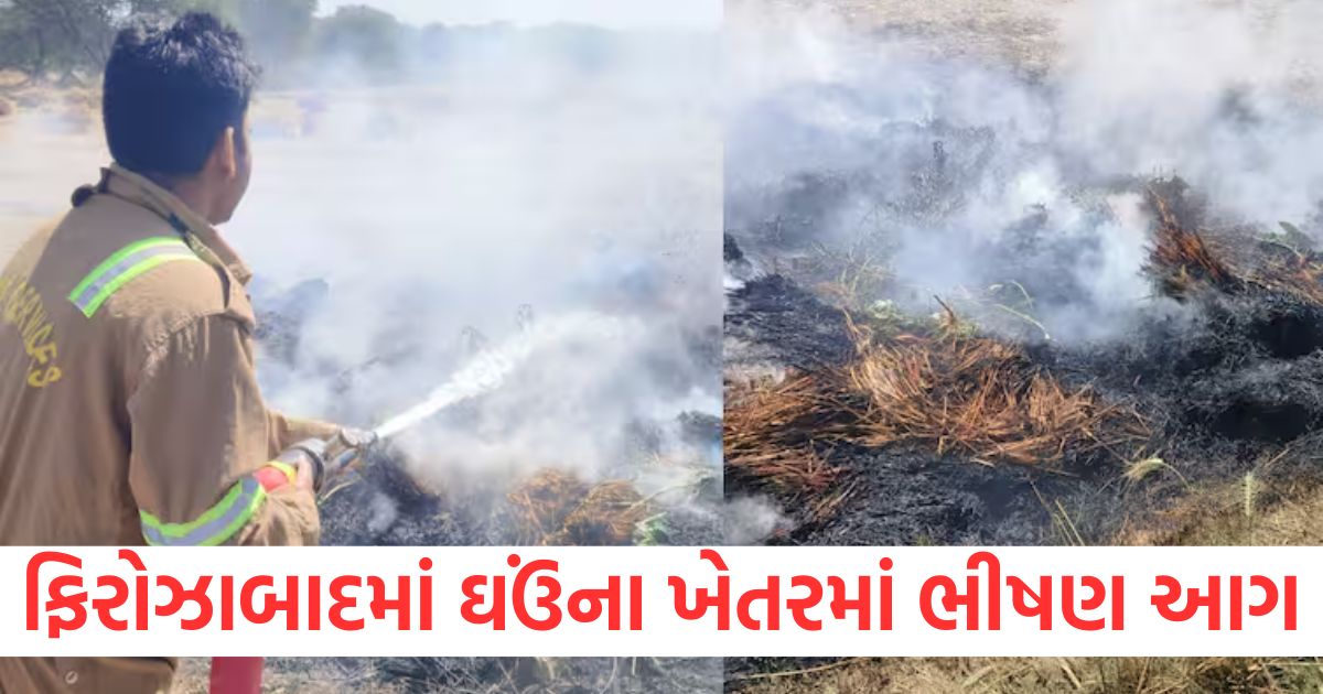 firozabad fire broke out in a glass warehouse and wheat field 9 bighas of crop burnt to ashes