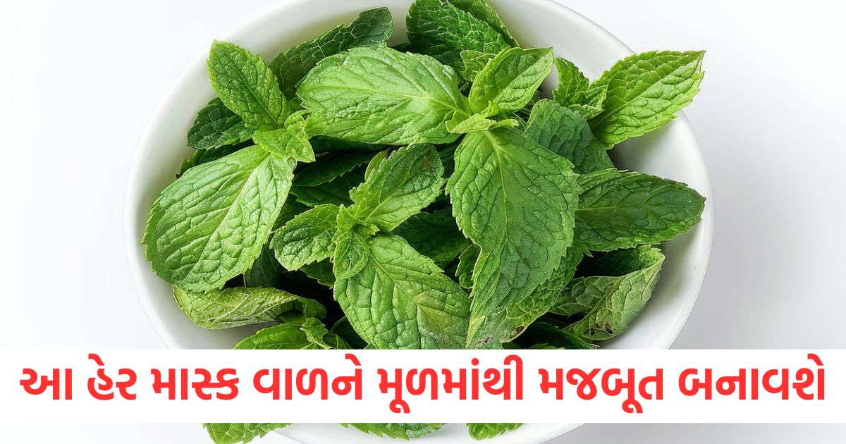 hair care tips how to use mint for making hair mask