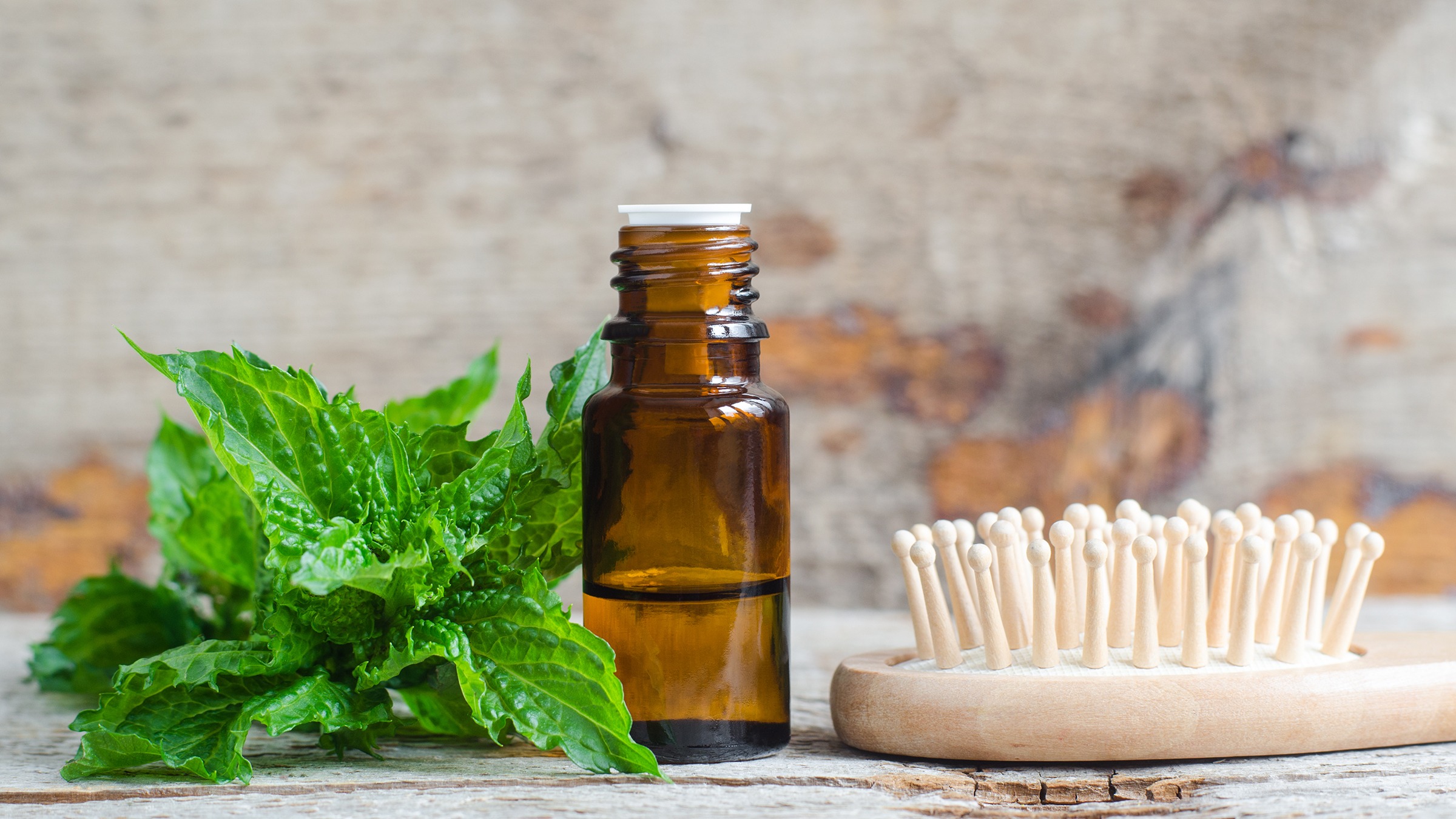 herbs which help you grow hair quickly hair care tips1