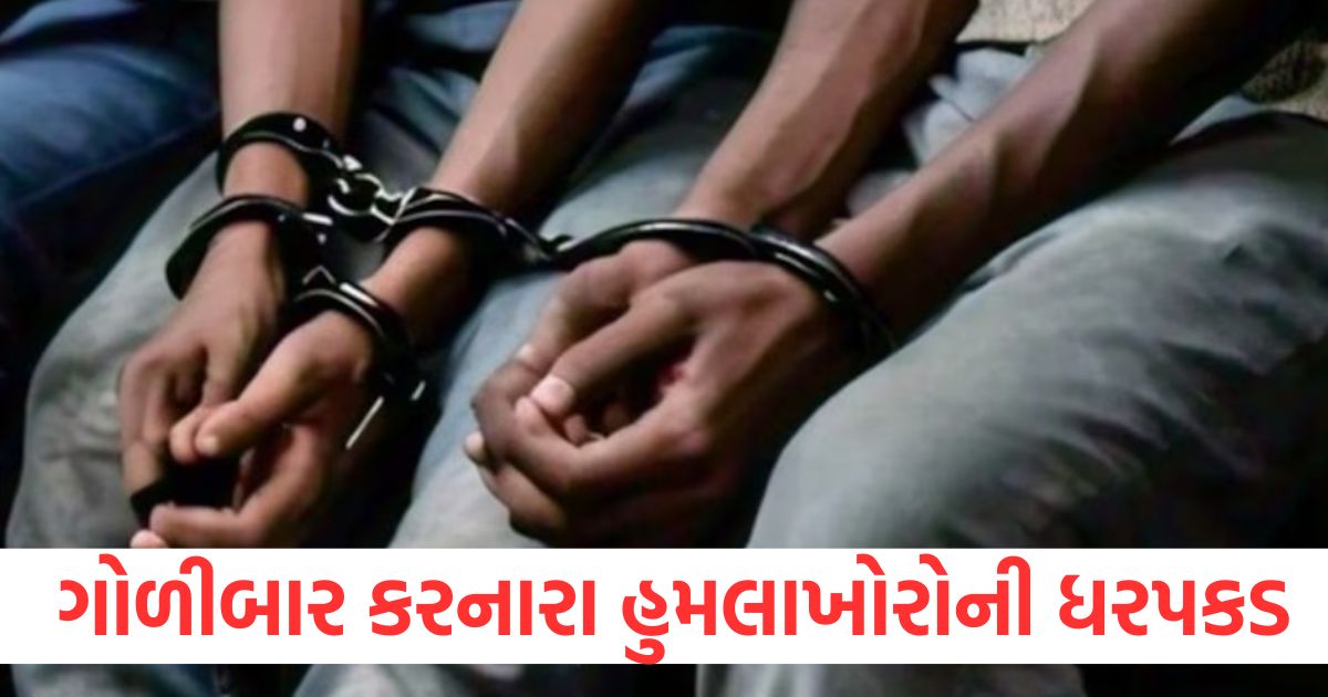 hp mandi dhaba owner firing two attackers arrested police crime
